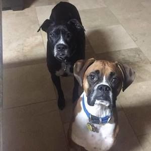 Meet your Posher, Jamie